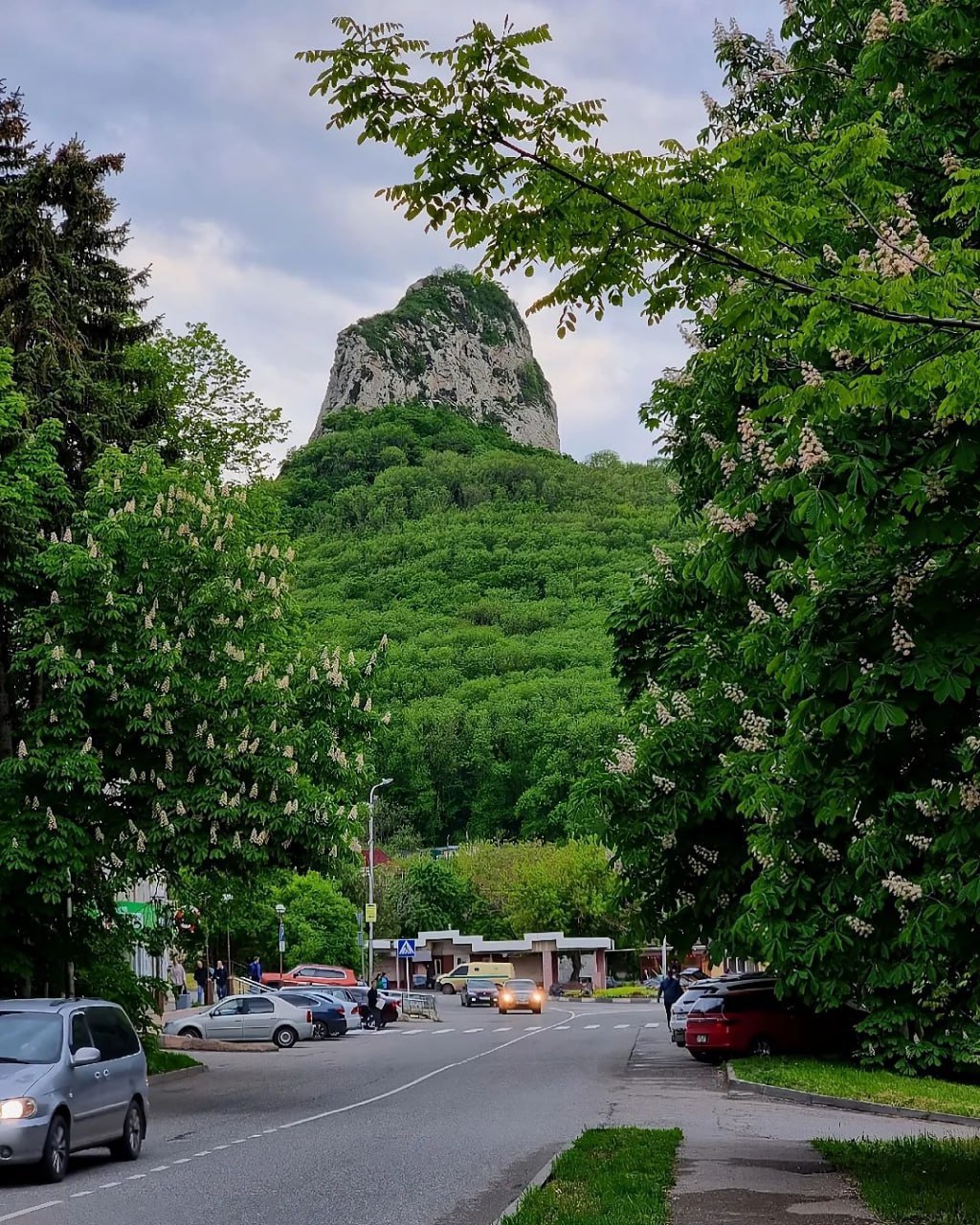 Гора Медовая