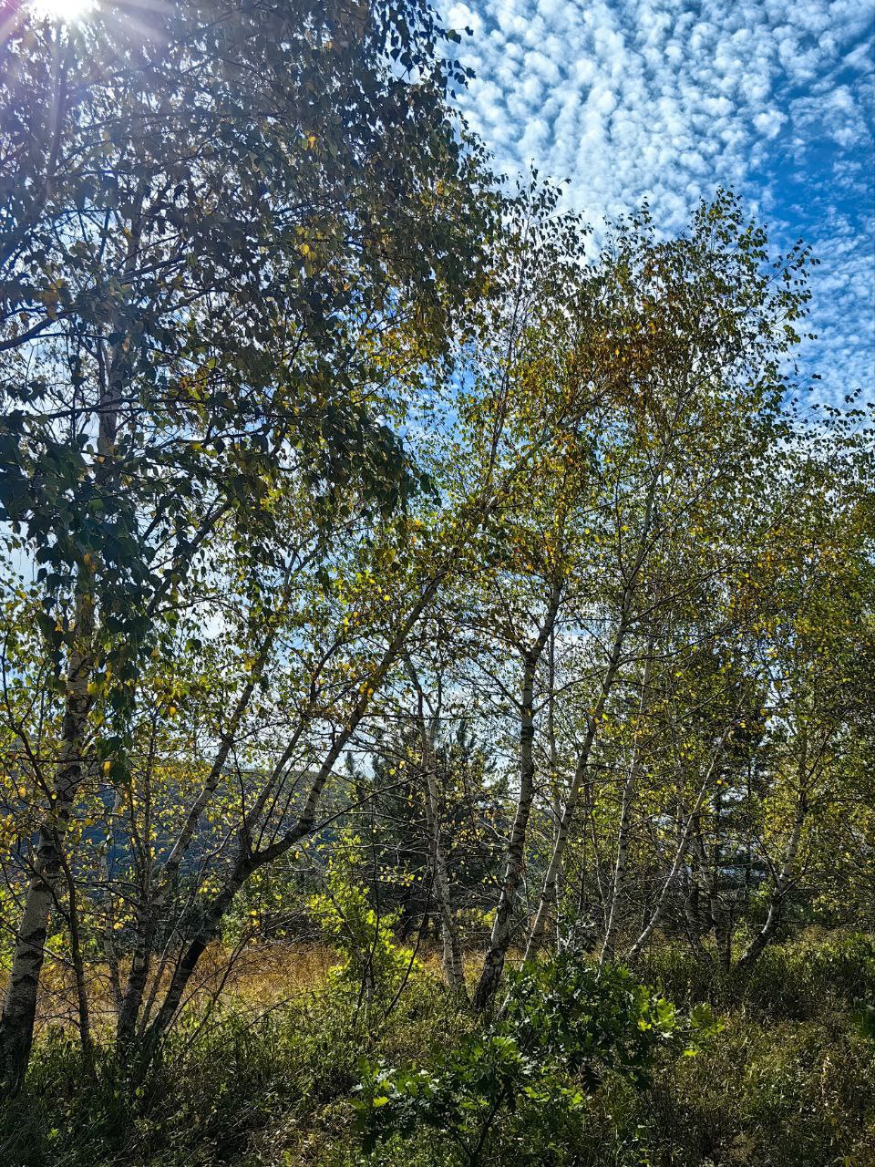 Джинальский хребет