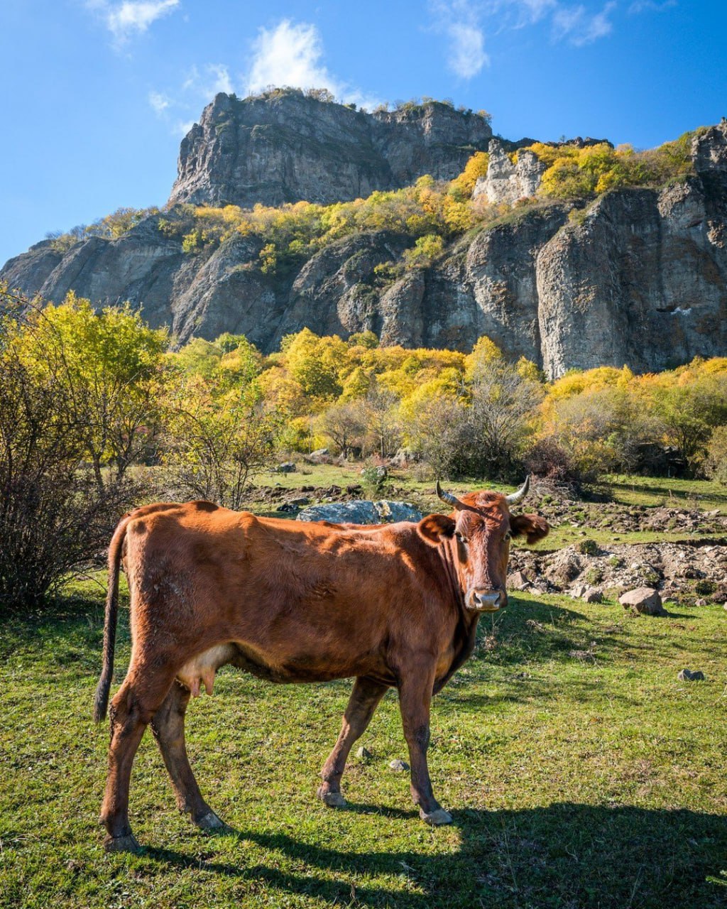 Скала Шоана