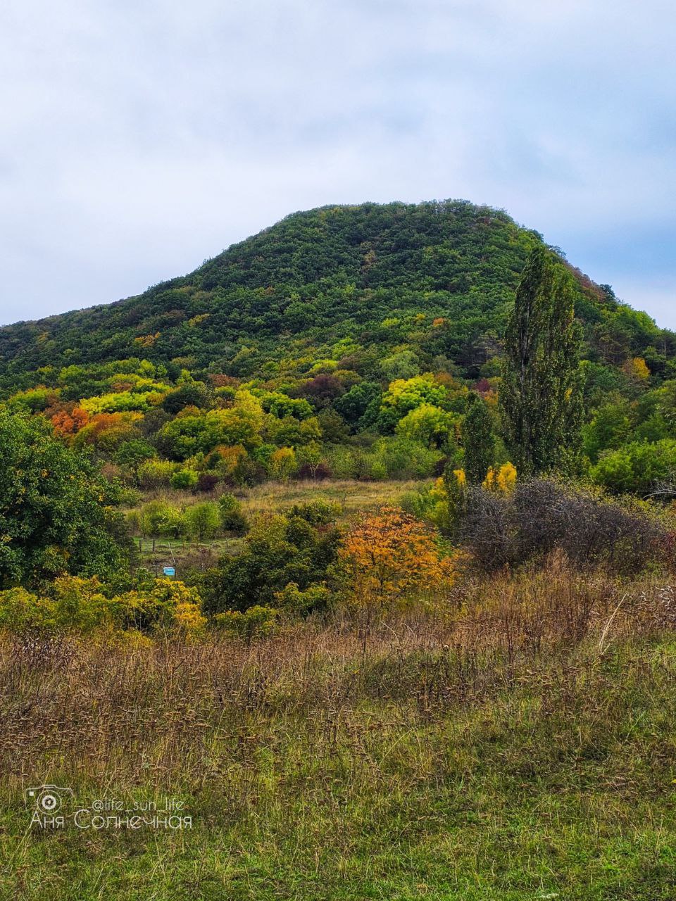 Долина очарования