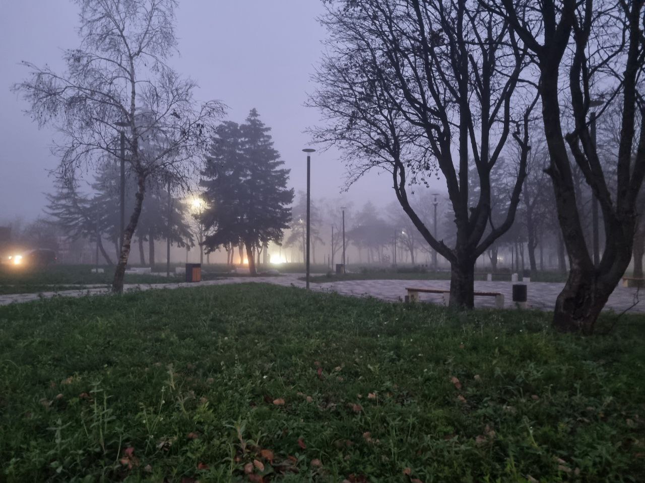 Сквер на ул. Буачидзе