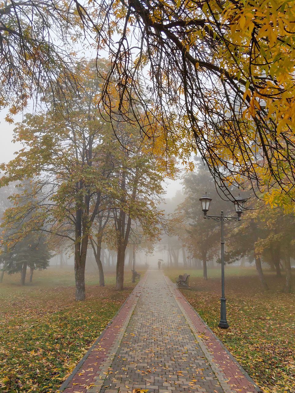 Комсомольский парк
