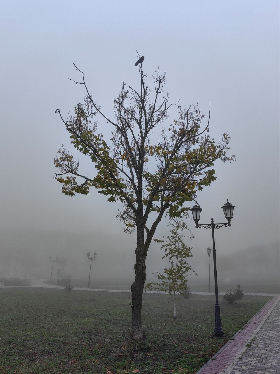 Комсомольский парк