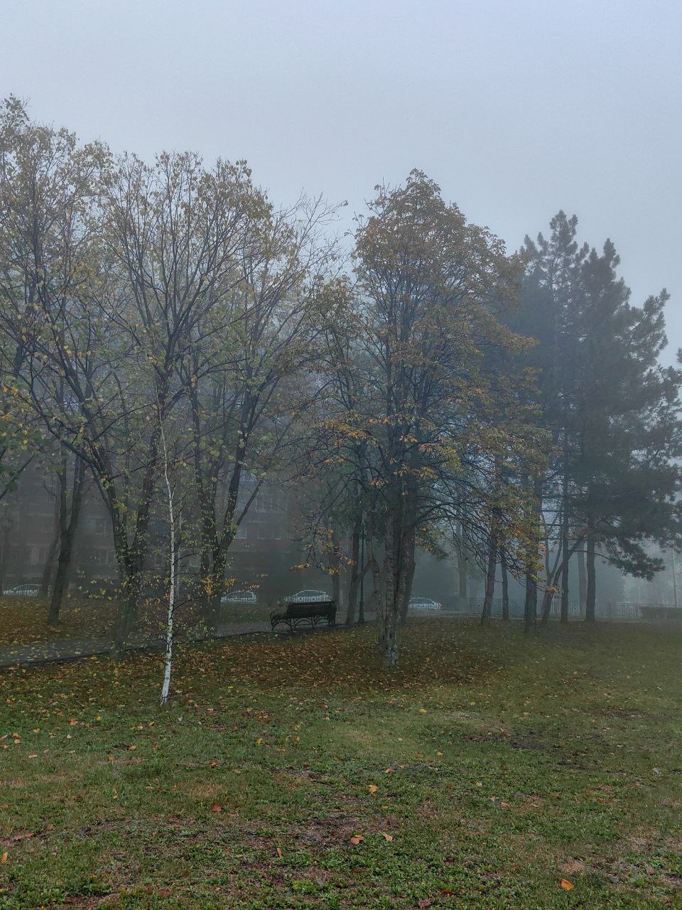 Комсомольский парк