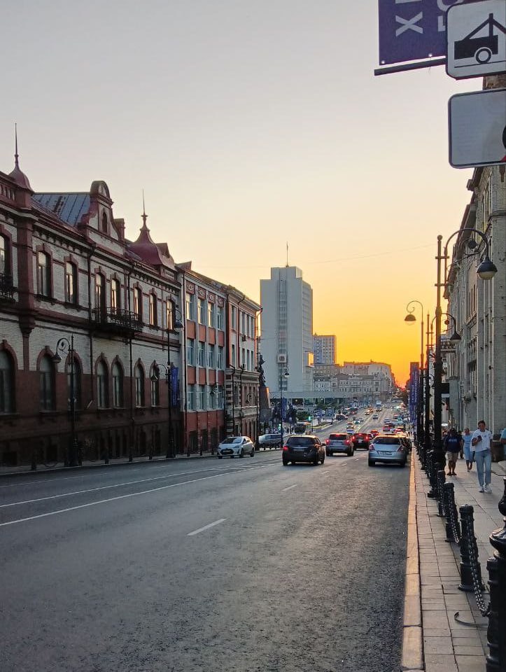 Светланская улица
