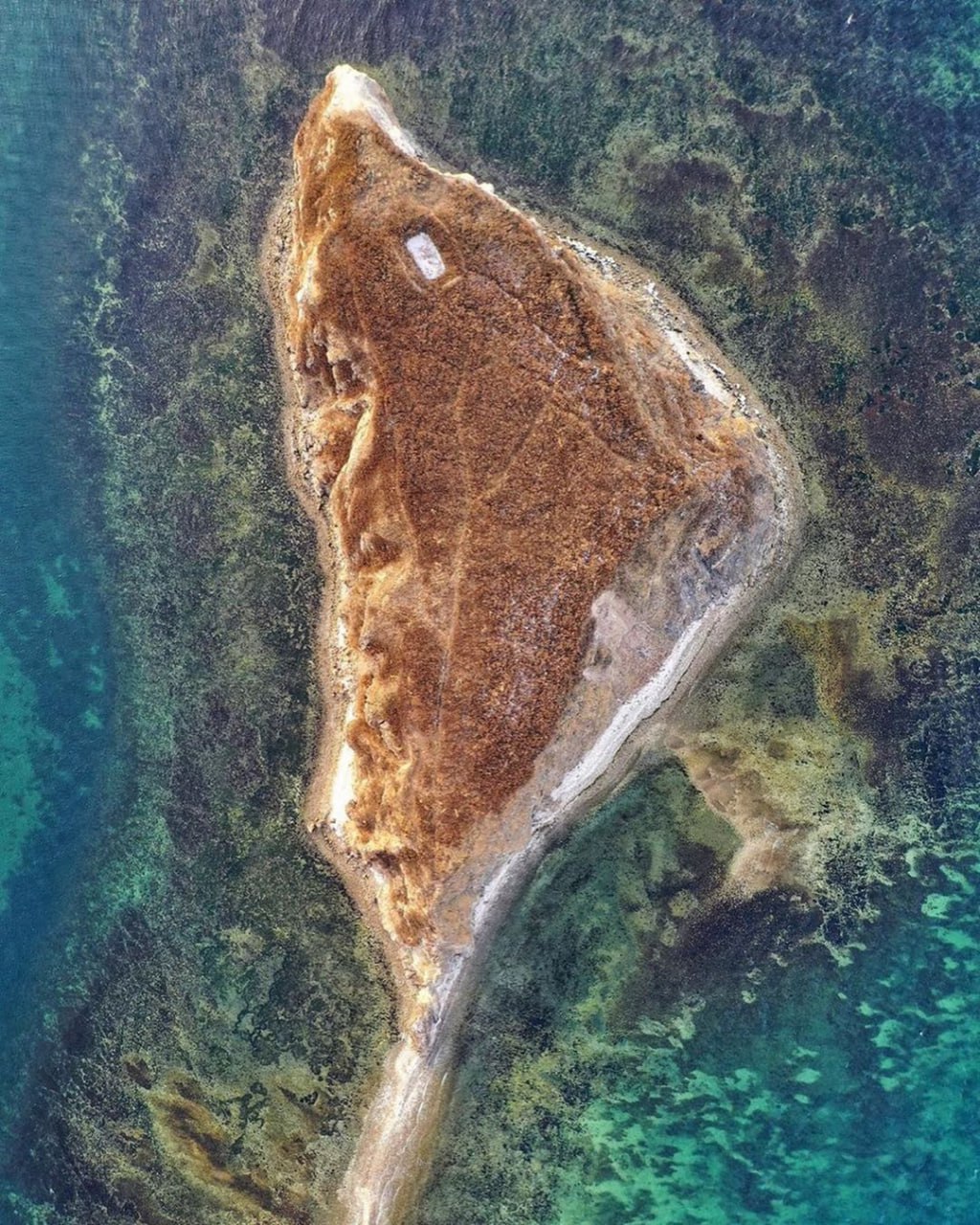 Остров Скребцова