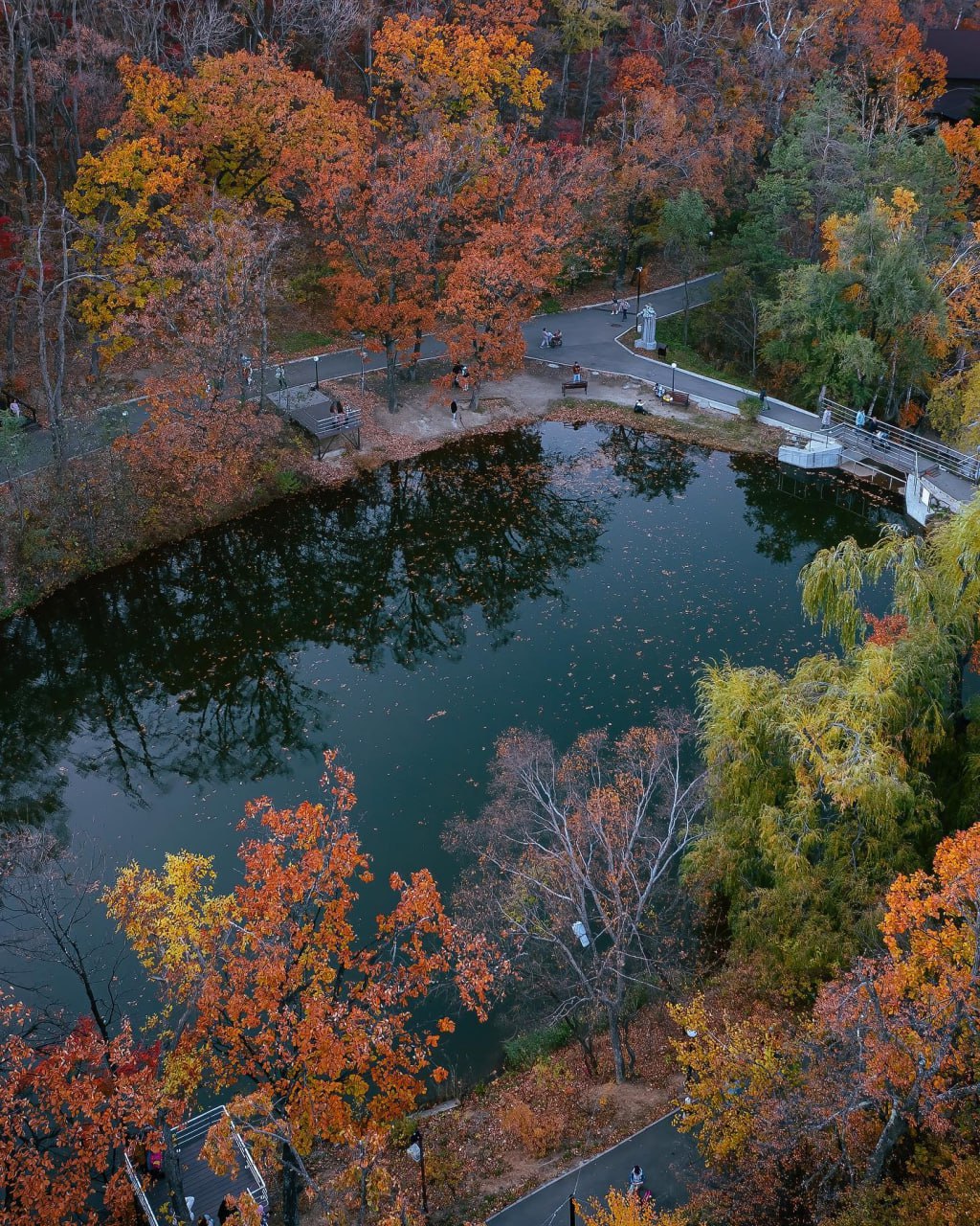 Парк Седанка