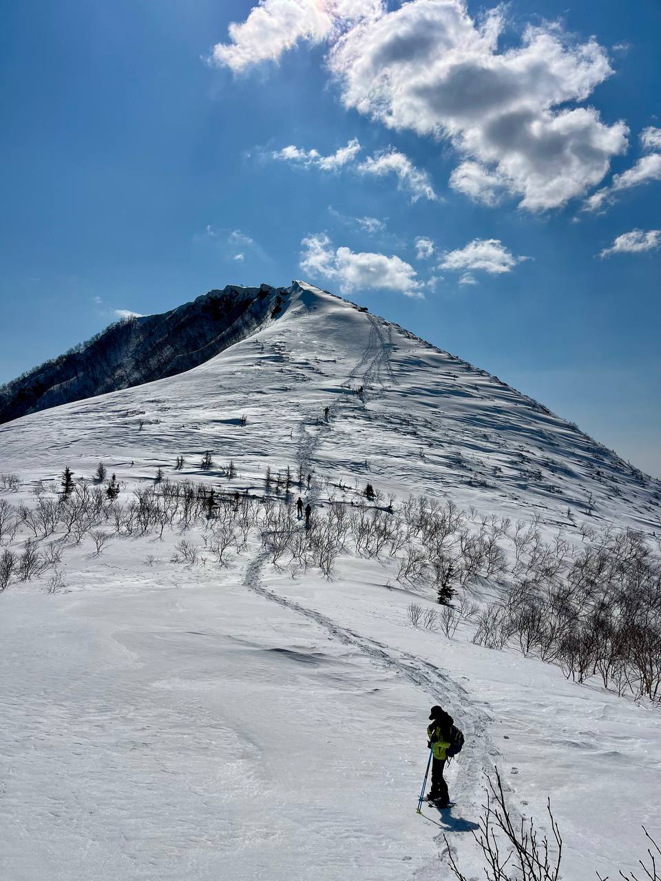 Гора Ленинская