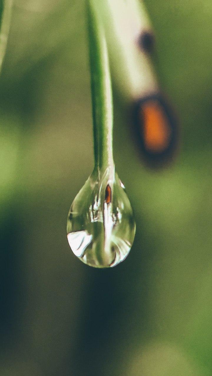 Черемшанский водопад