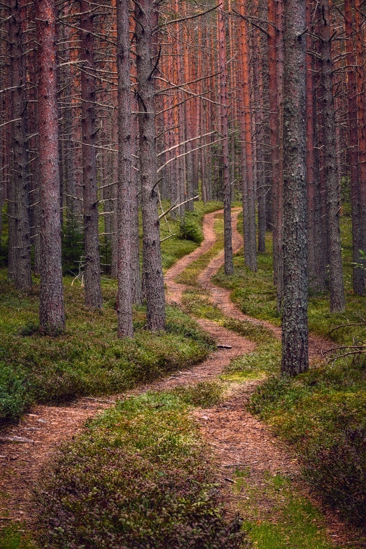 Полуостров Клим