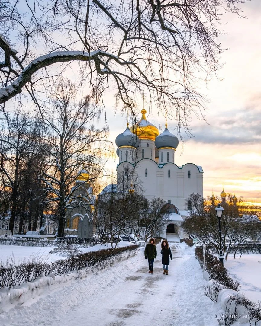 Новодевичий монастырь