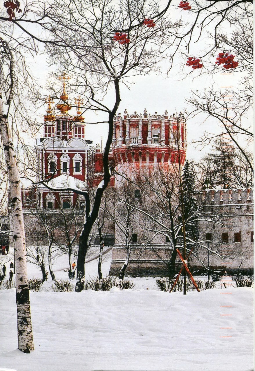 Новодевичий монастырь