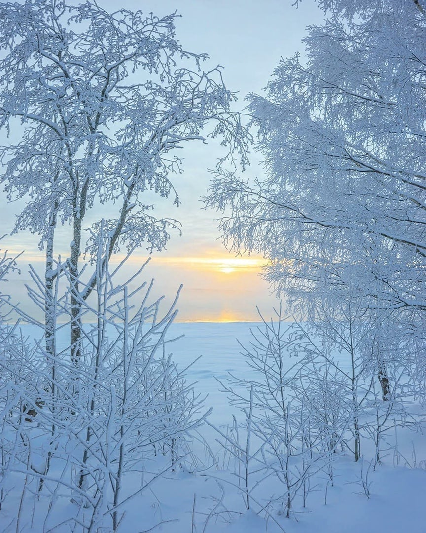 Поселок Лосево