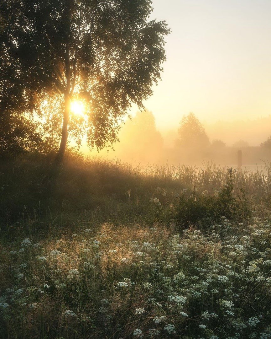 Село Филипповское