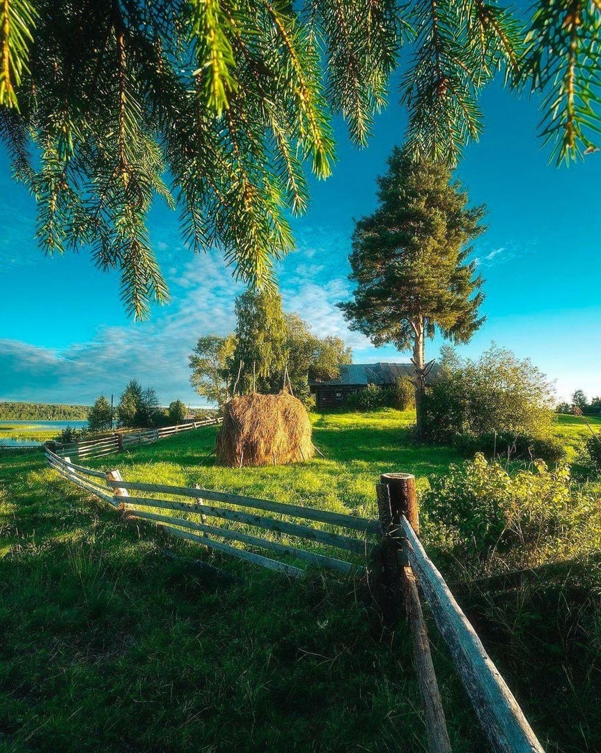 Деревня Мыза