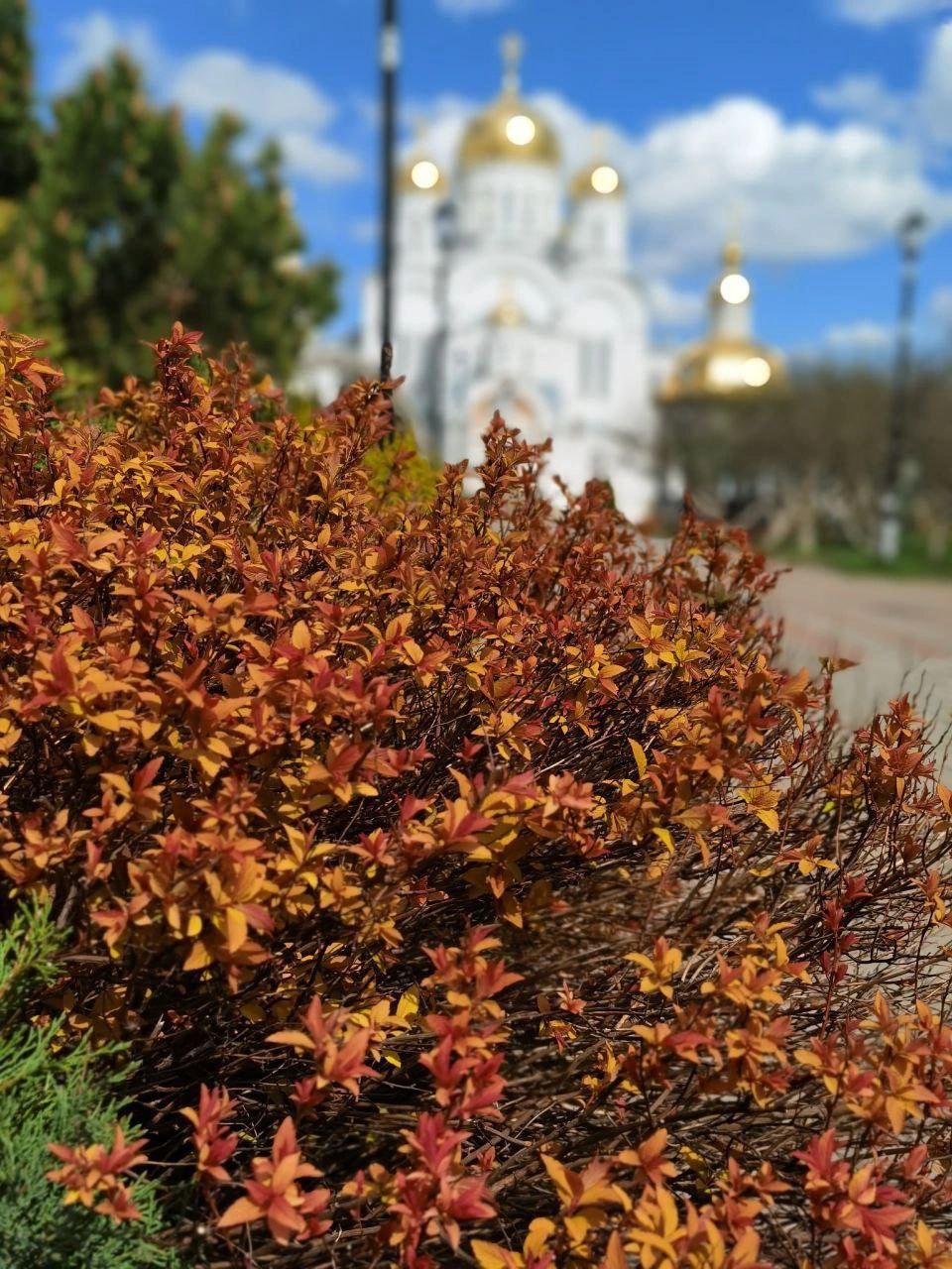 Серафимо-Дивеевский монастырь