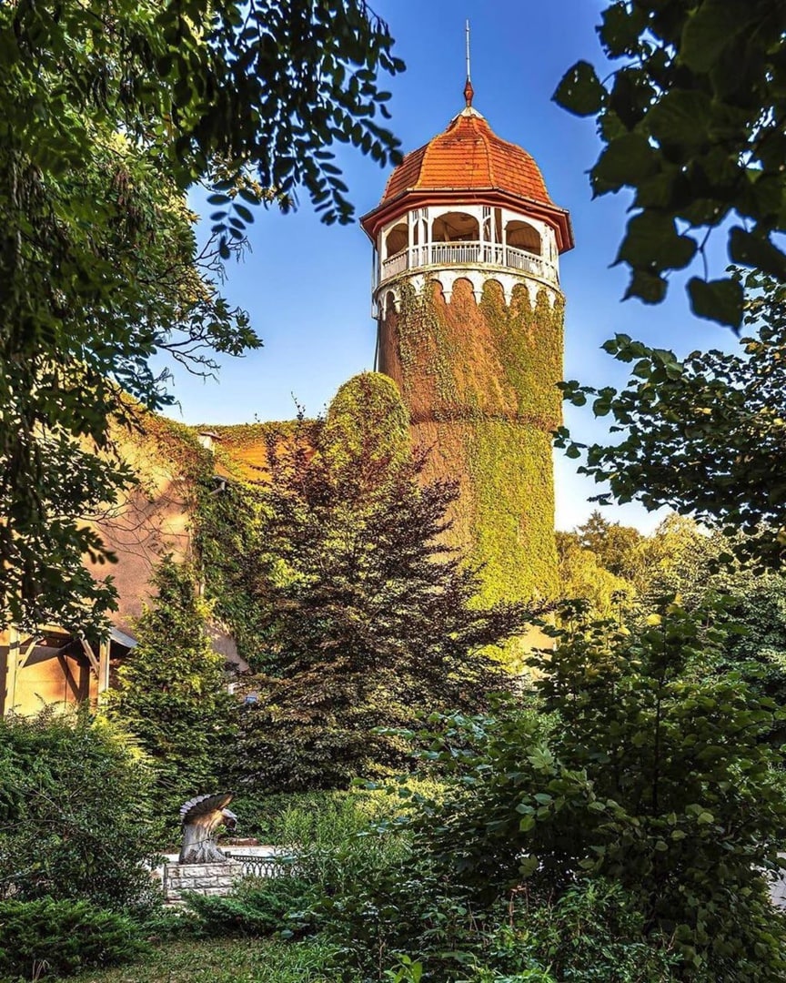 Город Светлогорск