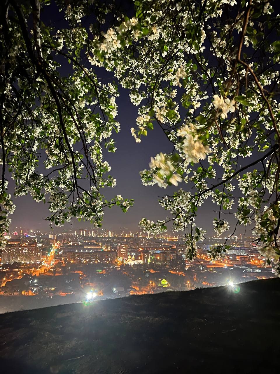 Город Красноярск