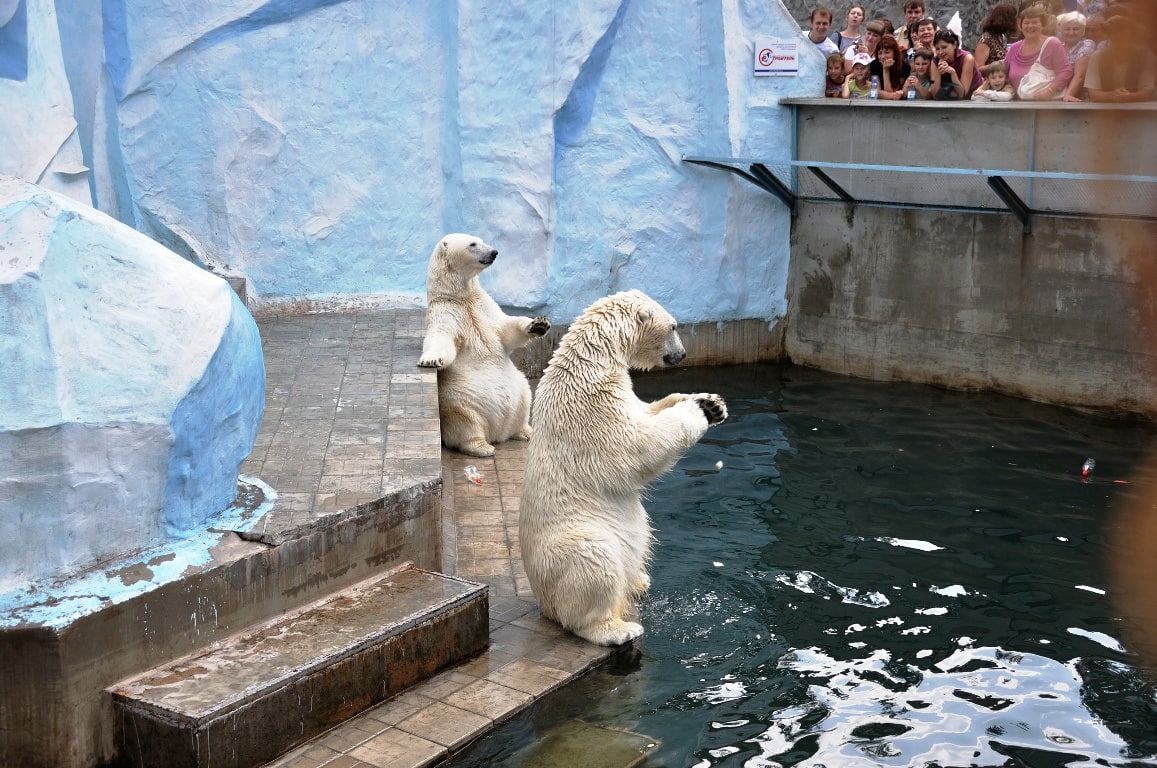 Новосибирский зоопарк