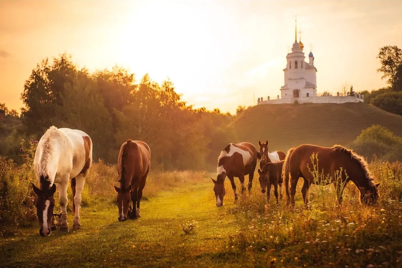 Епифань, Тульская область