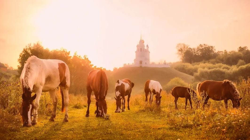 Епифань, Тульская область