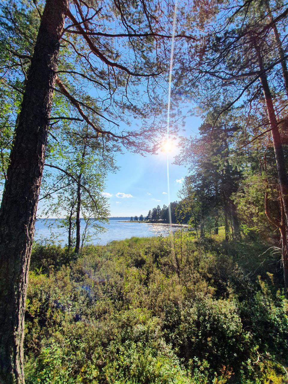 Река Лендерка