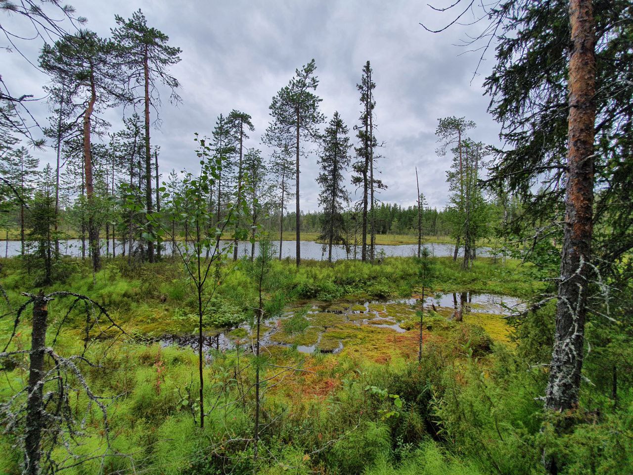 Река Лендерка