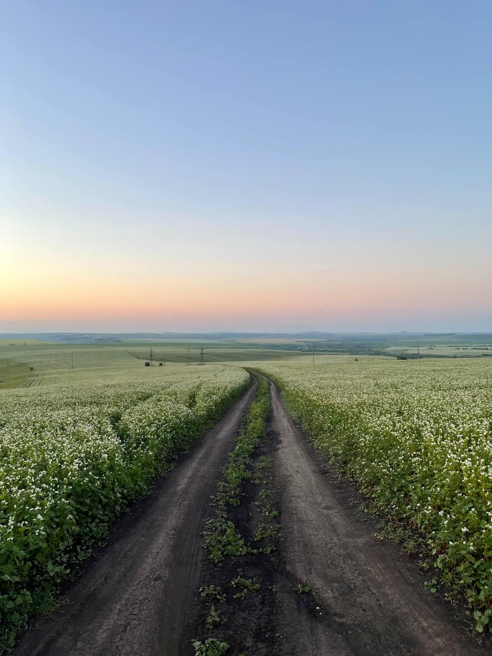 Виды Белокурихи