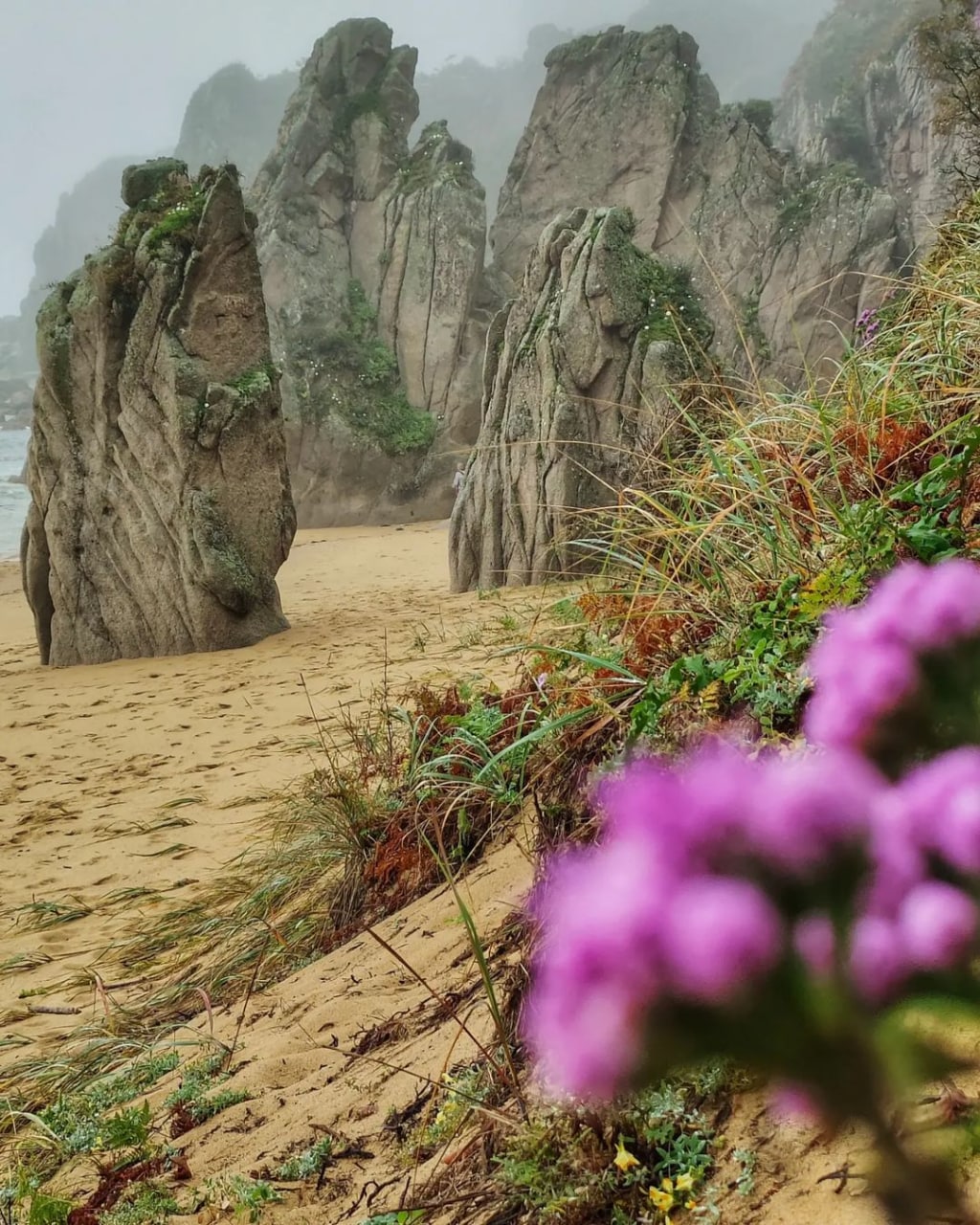 Бухта Заря