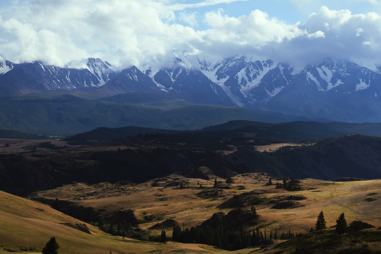 Курайская степь