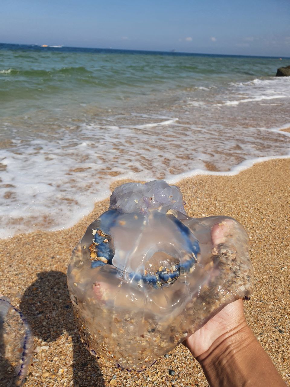 Азовское море