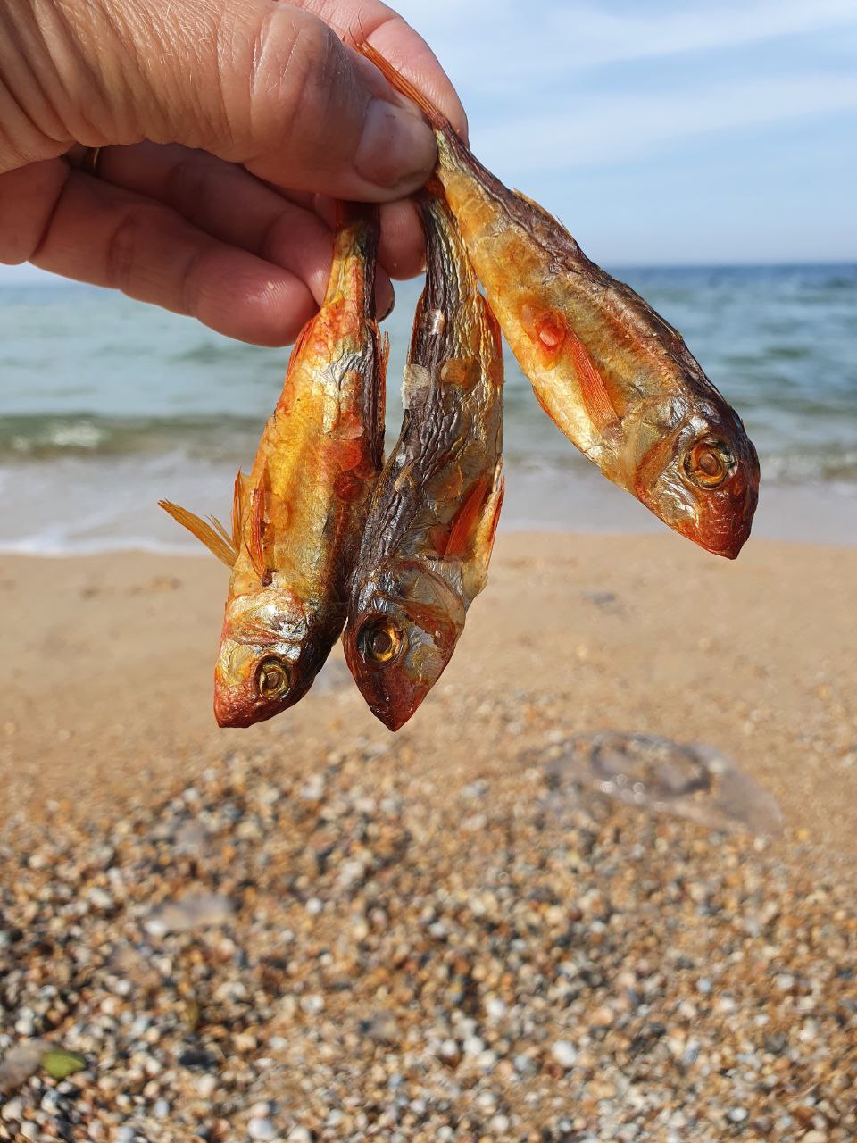 Азовское море