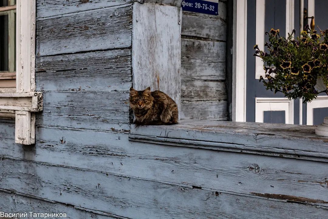 Усадьба Князя Волконского