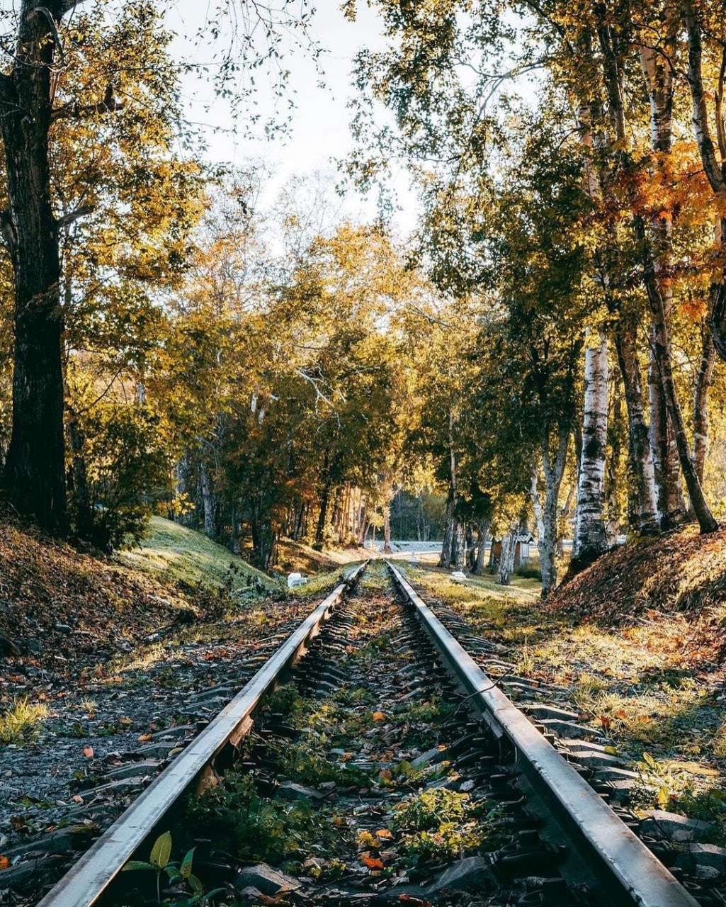 Сахалин