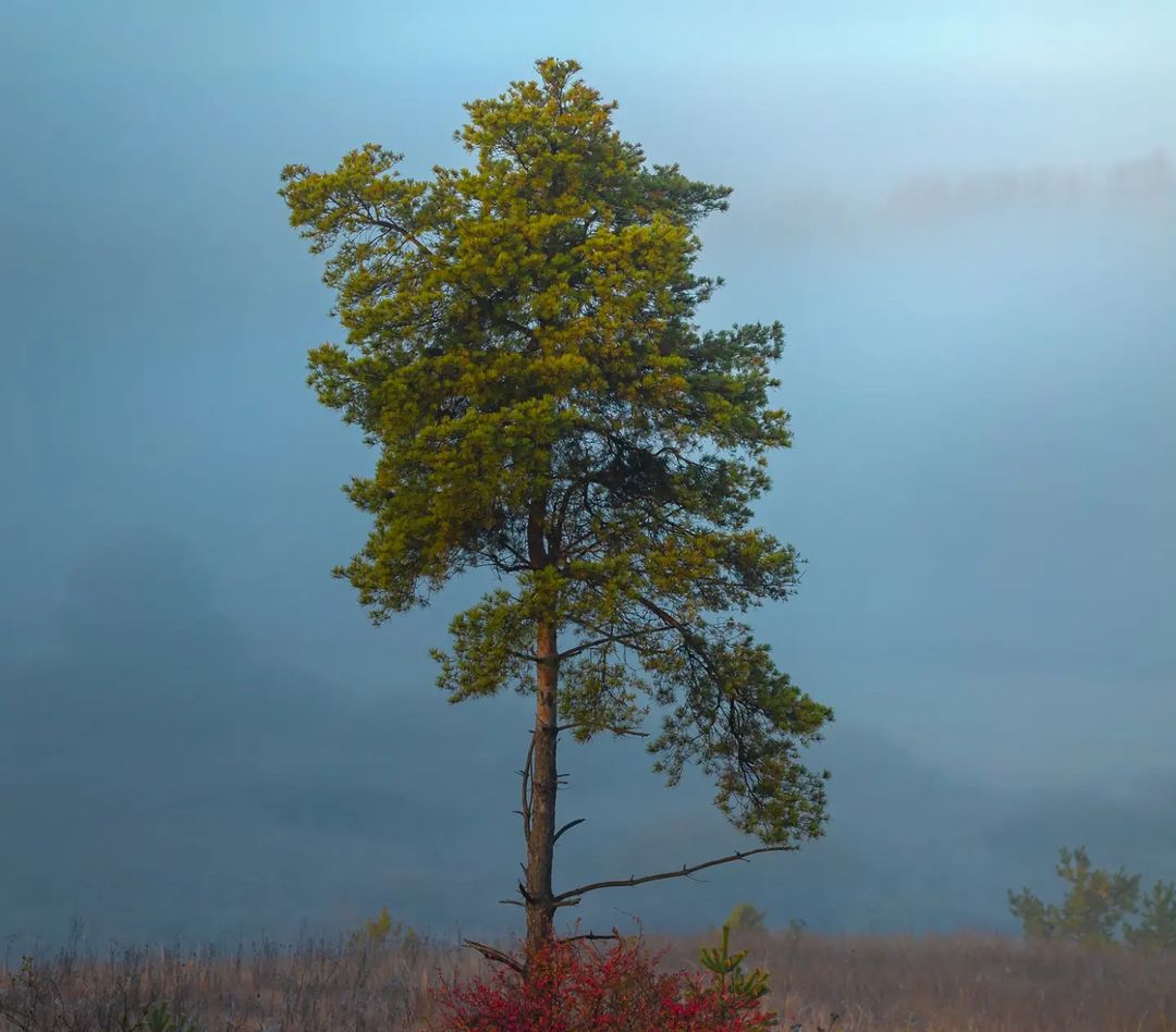 Белгородская область