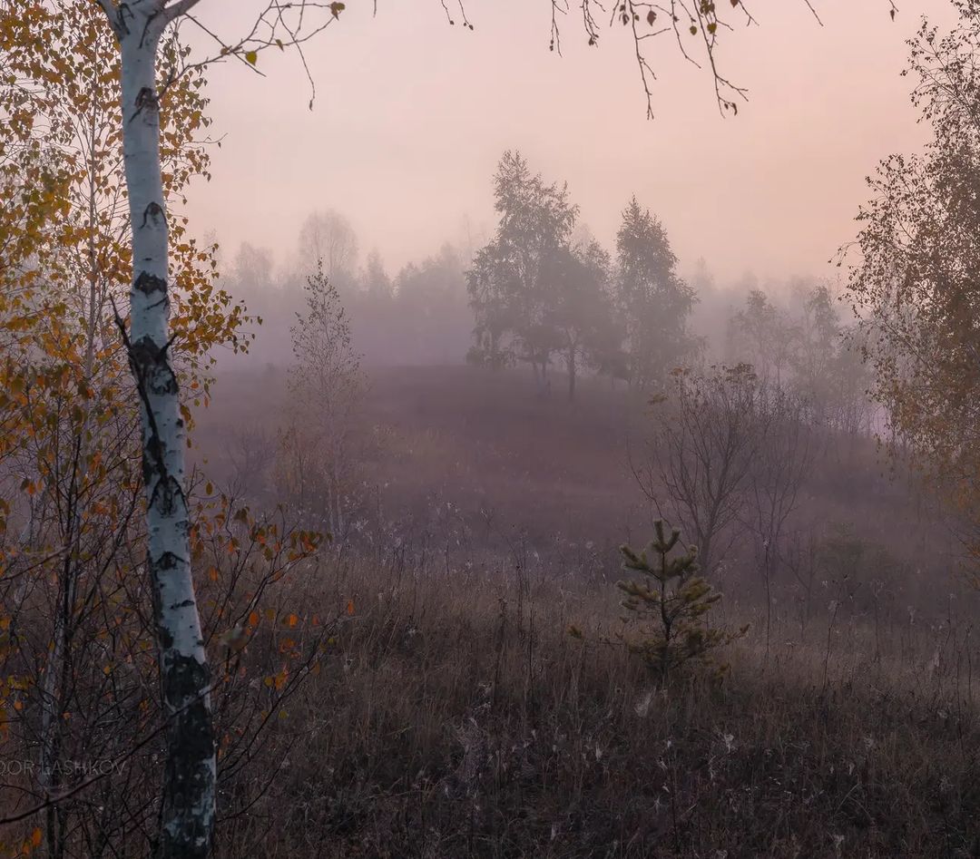 Белгородская область