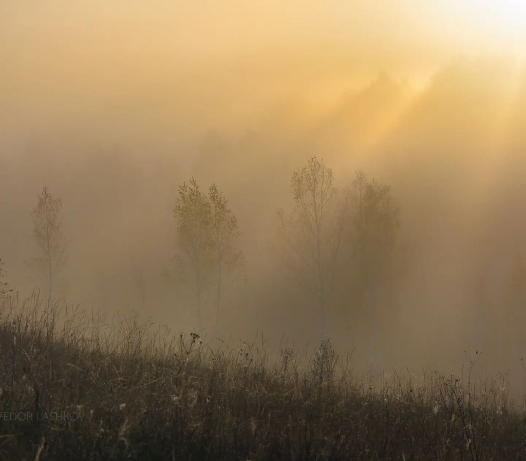 Белгородская область