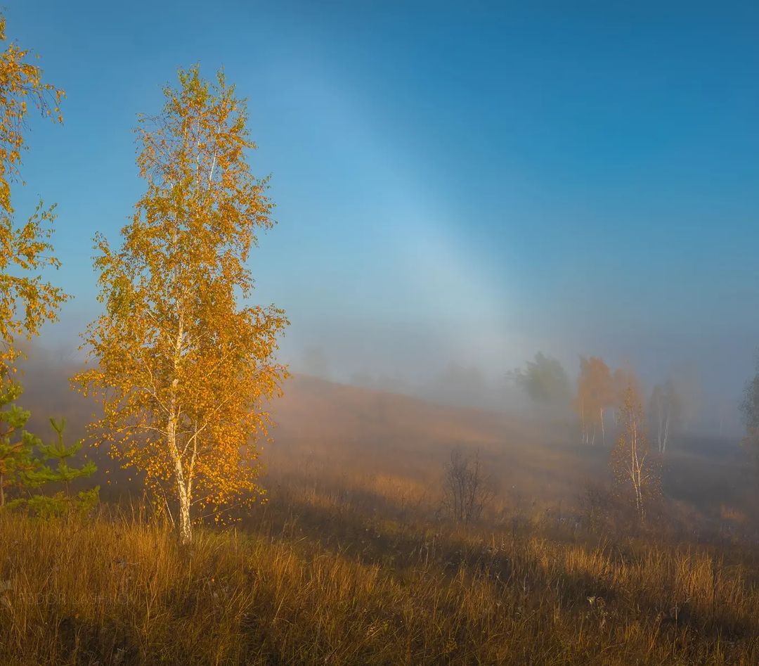 Белгородская область