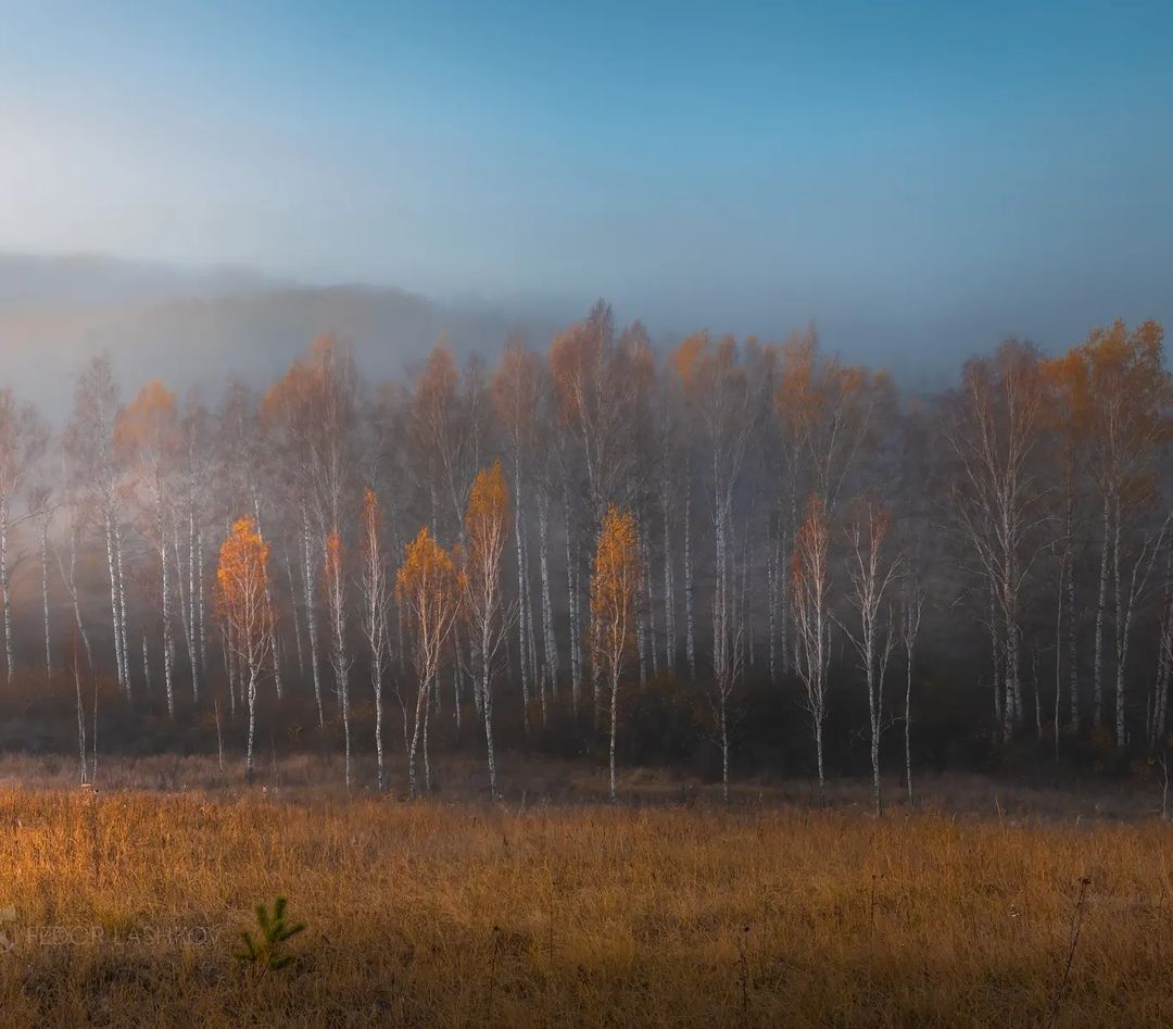 Белгородская область