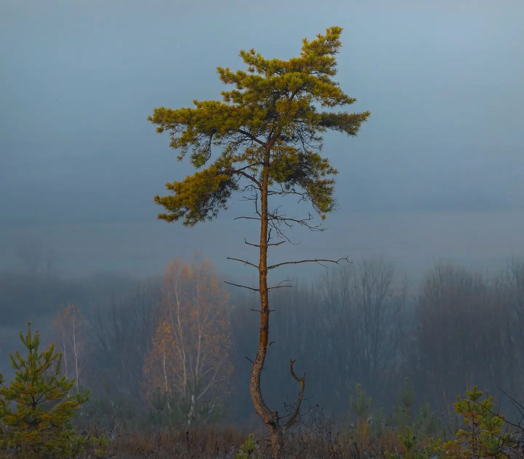 Белгородская область