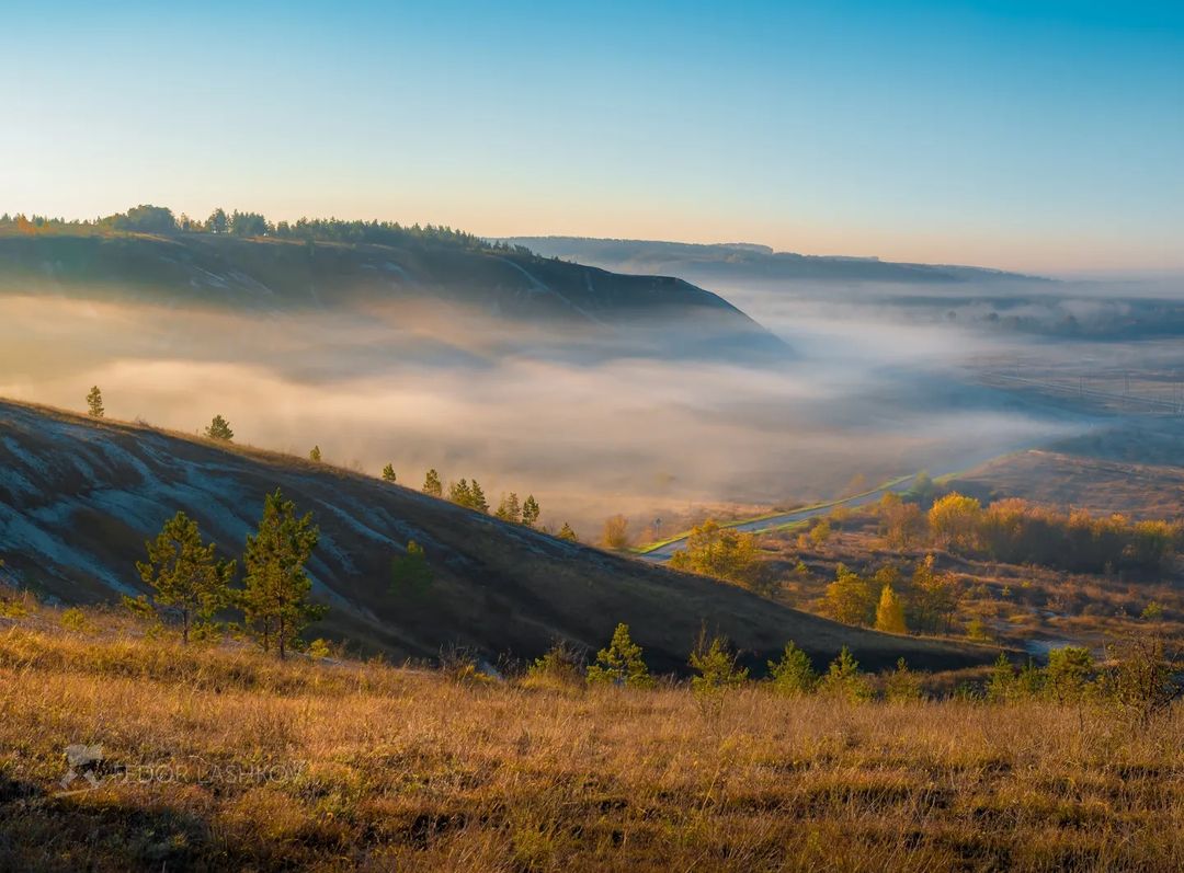 Белгородская область