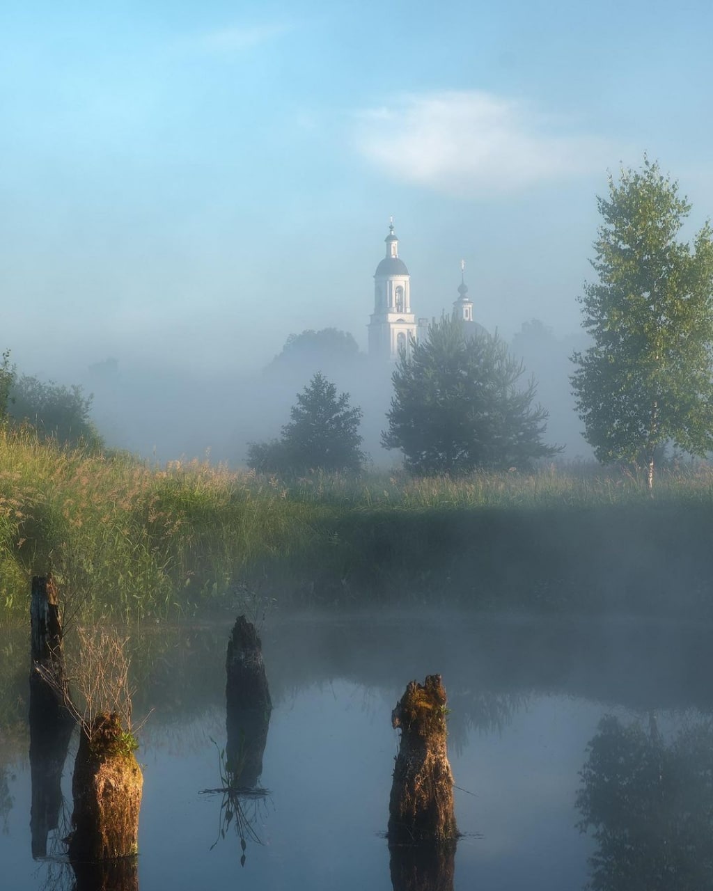 Берег реки Шерна