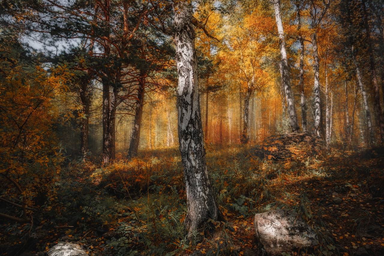 Осенний лес Башкортостана