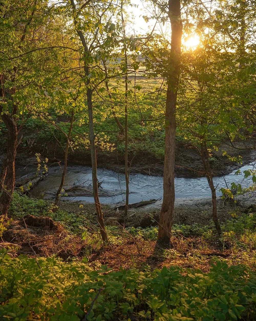 Водяная мельница в Курской области
