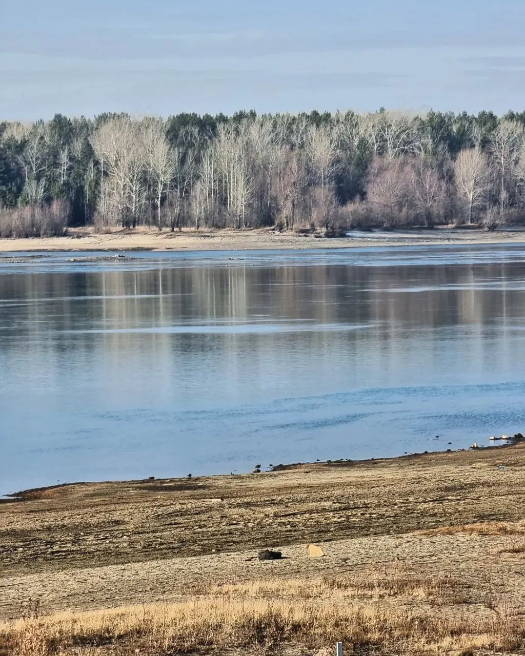 Заельцовский парк