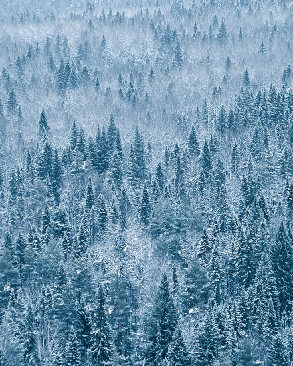 Парма в Пермском крае