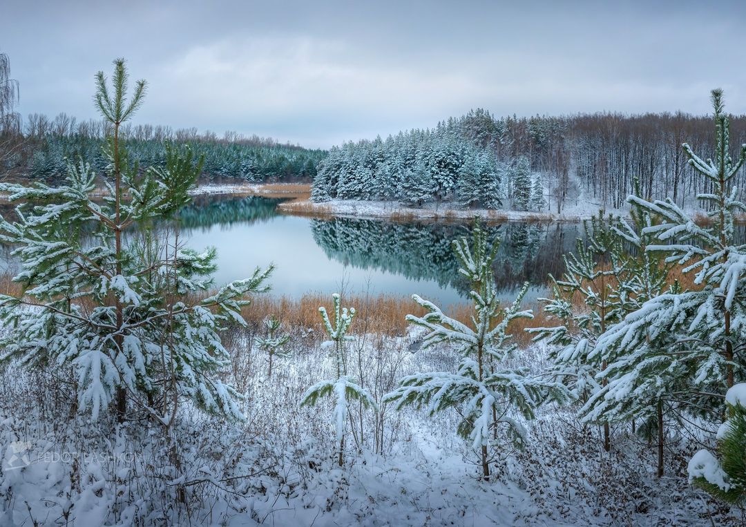 Белгородская область