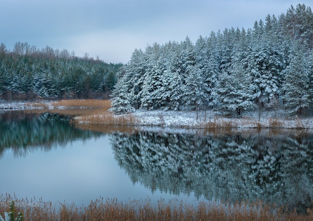 Белгородская область