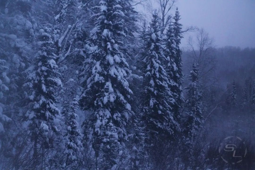 Кемеровская область