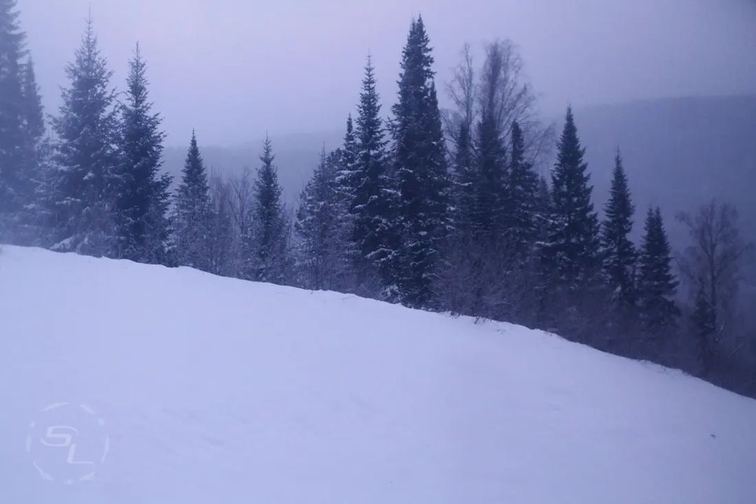 Кемеровская область